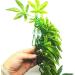 EXFEA 50cm Artificial Aquarium Plant - Hanging Plastic Green Decor for Reptiles & Aquariums - Buy Online on GoSupps.com
