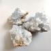 100g Real Natural Celestite Geode Quartz Cluster Diffuser Oils Crystal Cluster for Decoration ERTEYIN (Color : 90-100g Size : 2-3cm) 2-3cm 90-100g - Buy Online on GoSupps.com