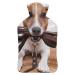 Dog Hot Water Bottle With Cover Plush Bed Bottle Hand Warmer For Adults And Children 26.5X15.3cm
