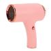 Negative Ionic Hair Dryer Hot and Cold Wind Hair Dryer Portable for Dorm (Roseate)