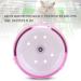 Hamster Food Hamster Exercise Wheel Super Silent Roller Exercise Running Wheel Toy For Small Hamster Pig Sugar Glider (Pink One Size) One Size Pink - Buy Online on GoSupps.com