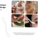 PAMINGONO 10pcs Facial Cream Stick Makeup Tools Skin Care Spatula Makeup Supplies Facial Cream Spoons - Buy Online on GoSupps.com