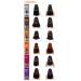 ECHOS LINE COLOR UP Hair Manicure Coating Treatment - Ammonia & Oxidant Free - 8.45 fl. oz (Grape Violet) - Made in Italy - International Shipping Available - Buy Online on GoSupps.com