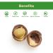 Sincerely Nuts Raw Macadamia Nuts 3lb Bag - Delicious Buttery Flavor | Vitamin & Mineral Rich Superfood | Kosher, Gluten Free, High in Fiber | Keto, Vegan, Paleo Friendly - Buy Online on GoSupps.com