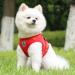 LOOK ANDES Small Dog Doucher - Reflective Soft Padded Dog Dish & Air-Mesh Harness (Chest 35-39cm) - Ideal for Puppies & Cats - International Shipping Available - Buy Online on GoSupps.com