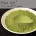 Plant Gift 100% Pure Cucumber Powder 100G/3.25oz Non-GMO Powder No Filler No additives Natural Cucumber Flour Best Flavor for Smoothie Drinks Tea and Baking Adds Flavor and Taste 2UK-PO0075 - Buy Online on GoSupps.com
