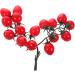 HOMSFOU 5pcs String Simulated Cherry Tomatoes Realistic Cherry Toys Simulation Cherry Tomatoes Artificial Tomatoes Faux Cypress Garland Fake Peaches Fake Cherries Child Pvc Fake Food Fruit Redx5pcs 18X16CMx5pcs - Buy Online on GoSupps.com
