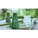 Riner 500ml Aloe Extract Dishwashing Detergent - Skin-Friendly Natural Ingredients - 1-Pack - Buy Online on GoSupps.com