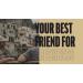 Buy Fisherman's Friend Sugar Free Honey & Lemon Lozenges 25g - 12 Pack | International Shipping - Buy Online on GoSupps.com