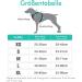 Rabbitgoo No-Pull Adjustable Dog Harness for Medium Dogs - Breathable Control Harness with Reflex Stripes - Safe & Comfortable Mint Green (1 Pack) - Buy Online on GoSupps.com