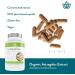 Nature Restore Organic Astragalus Root Extract - 90 Capsules, 50% Polysaccharides | Non-GMO, Gluten-Free - Buy Online on GoSupps.com