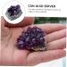 LIFKOME 2pcs Amethyst Cluster Rock Chip Rough Crystal Specimen Geode Natural Crystal Decoration Energy Druze - Buy Online on GoSupps.com