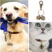 WUTUDMAI 2 Pairs Extra Loud Cat & Dog Bells Sturdy Brass Bells for Pets Collar Charm Pendant Bells with Clasp Swivel Pet Tracker - Buy Online on GoSupps.com