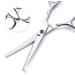 Professional 6.5 inch Hair Cutting Scissors Set for Kids/Women/Men - Barber Salon Kit with Thinning Shears, Saftey Round Head, and Red Handle - Buy Online on GoSupps.com