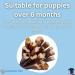 100% Natural 1kg Dog Spaghetti Treats - Pig Intestinal Chews for Healthy Dogs | International Shipping - Buy Online on GoSupps.com