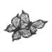 WOONEKY 2pcs Eyeliner Template Eye Liner Pencils Wing Eyeliner Stamp Eyeliner Stencil Makeup Tool
