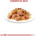 Royal Canin Wet Cat Food Instinctive Jelly Pouch 85 g (Pack of 12) - Buy Online on GoSupps.com