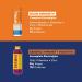 Nuun Immunity: Immune Support Hydration Supplement 4 Tubes (40 Servings) Orange Citrus Electrolytes Antioxidants Vitamin C Zinc Turmeric Elderberry Ginger Echinacea - Buy Online on GoSupps.com
