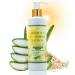 Lather Green - After Sun Soothing Natural Body Lotion with Aloe & Oats for Sunburn Relief & Hydration 6 oz