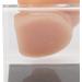 Silicone Ear Model for Acupuncture - Soft Practice Tool with Display Stand | Ideal for Piercing & Display | International Shipping Available - Buy Online on GoSupps.com