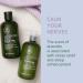 Paul Mitchell Tea Tree Lavender Mint Conditioner - Hydrating & Soothing for Coarse & Dry Hair (10.14 oz) - Buy Online on GoSupps.com