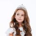 Lurrose Rhinestone Crystal Tiara Crown Set for Wedding, Bridal, Birthday, Pageant - 2 Pack - Buy Online on GoSupps.com