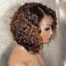 Hair.ly Curly Bob 13x6 T Part Lace Frontal Wig Human Hair - Brown Remy Hair 8 Inch - Buy Online on GoSupps.com