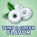 LIFE SAVERS Wint-O-Green Breath Mints Hard Candy 13 oz Bag - Sharing Size - Buy Online on GoSupps.com