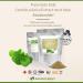 10x Natural Pegaga Centella Asiatica 0.3%-0.10% Asiaticoside Extract Powder Pure 100:1 Gotu Kola Halal Certified - Buy Online on GoSupps.com