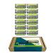 Dorco Pace 6 Pro - Six Blade Razor System with Trimmer - 12 Pack Refill (No Handle) 12 Count (Pack of 1)