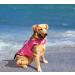 Mermaid Hot Pink Dog Life Jacket - Portable Vest for Small, Medium, Large Dogs - Buy Online on GoSupps.com