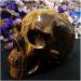 Natural Stones Natural Crystal 67 mm Natural Crystal Skull Gemstone Ghost Head Carved Crystal Jewelry Tiger Eye Stone Specimen Carved Skull Gift Power Stone Crystal Natural Stones ningxiao - Buy Online on GoSupps.com