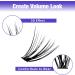 300PCS C Curl Cluster Lashes 30D 0.07mm 8-16mm Mixed | DIY Eyelash Extensions at Home - Buy Online on GoSupps.com