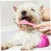CORHAD 12pcs Double Head Dog Toothbrush Dog Finger Toothbrush Dog Toothbrush Toothpaste Dog Tooth Care Pp - Buy Online on GoSupps.com