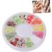 minkissy Nail Art Decor 12 Fruit Decor Nail Decorations for Nail Art Nails Decoration Nail Art Decoration Polymer Clay Slices for Nail Manicure Tool Soft Pottery Boxed - Buy Online on GoSupps.com