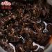 400g Puer Th Noir G teau Liang Gong Peng Tu Th Puerh Cuit Th Chinois Sain - Buy Online on GoSupps.com