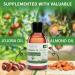 KitaMa DOK MOK Thai Water Jasmine Massage Oil - Nourishing Aromatherapy Body Oil - 250ml Relaxation Care Oil - Buy Online on GoSupps.com