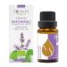 Essences Bulgaria Organic Patchouli Essential Oil 15ml | Pogostemon cablin | 100% Pure and Natural | Undiluted | Therapeutic Grade | Aromatherapy | Cosmetics | Cruelty Free | Non-GMO Patchouli 15.00 ml (Pack of 1)