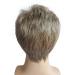 Aimole Men's Short Straight Brown-Silver Synthetic Full Wig - Buy Online on GoSupps.com