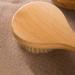 HiKin 12.6 Long Handle Dry Bath Body Brush with Natural Bristles Exfoliating, Blood Circulation, Detox - Anti-Slip Wooden Handle - Buy Online on GoSupps.com