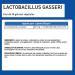 Lactobacillus Gasseri - 200 Billion High-Dose Ferments | Gastro-Resistant Vegetarian Capsules | 30-Day Program by ERIC Favre - Complexes Vivant - Buy Online on GoSupps.com