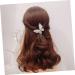 FRCOLOR Hair hairpin rhinestone hair clips bling hair clamps sparkling hair clips women Girls Hair Accessories metal hair clips Butterflies Headwear woman spring clip Zinc alloy Clamps - Buy Online on GoSupps.com