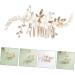 Gogogmee Bridal Headwear Bride Headpieces for Wedding Hair Accessories for Bride Hair Accessories for Women Comb Clips for Hair Wedding Bride Headpiece Hair Comb for Hair Side Comb - Buy Online on GoSupps.com