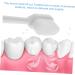 Frcolor 12 Pcs Soft Manual Toothbrush Set - Extra Soft & Portable Travel Toothbrushes for Children & Sensitive Teeth - Ideal for Kids & Adults - Buy Online on GoSupps.com