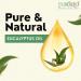 PUROLEO Eucalyptus Essential Oil 32 Fl Oz/946 ML (Packed in Canada) 100% Pure | Natural Aromatherapy Oil for Diffuser Massage Eucalyptus 32 Fl Oz (Pack of 1) - Buy Online on GoSupps.com