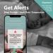 NORA Smart Sock Baby Monitor 2023: Heart Rate, Sleep Position Alert, Temperature Tracking | iOS & Android Compatible - Buy Online on GoSupps.com