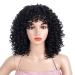 SHIYID Short Black Curly Wigs for Women Brown Afro Wig with Pony Heat Resistant Red Hair