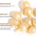 UPGRADEDVERSION Youthrenew Ceramide Collagen Firming Capsule Serum Youthrenew Ceramide Face Lifting Capsule Serum Youth Renew Advanced Ceramide Capsules (2 Bottle) - Buy Online on GoSupps.com