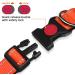 Taglory Soft Padded Neoprene Dog Collar for Small Dogs - Adjustable & Reflective Ideal for Training - Orange (1 Pack) - Buy Online on GoSupps.com