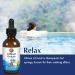 KAL Lithium Orotate Drops - Natural Lemon Lime Flavor, 2 fl oz (60 ml) - Mood Support & Wellness - Buy Online on GoSupps.com